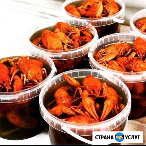 Раки живые&вареные. Доставка Красноярск