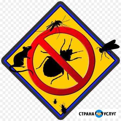 Дезинфекция от насекомых Ростов-на-Дону
