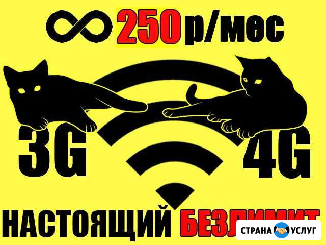 Билайн Интернет Для Ноутбука Донской - изображение 1