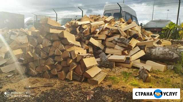 Дрова Березовые с доставкой Васкелово - изображение 1