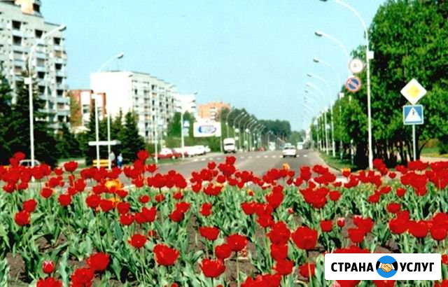 Фотоуслуги Заречный - изображение 1