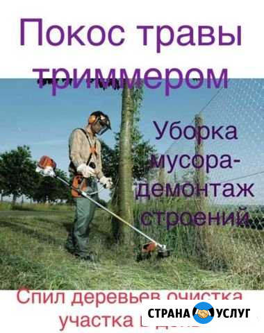 Покос травы и хоз-работы Александров - изображение 1
