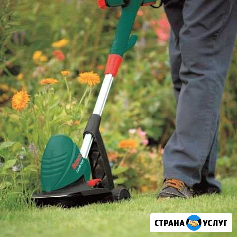 Ремонт садовой бензиновой техники, бензопилы Новосибирск - изображение 1