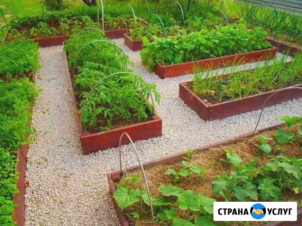 Разнорабочие,выкорчевывание и обрезка Курган - изображение 1