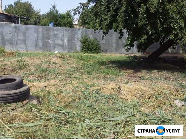 Скос травы камыша Астрахань - изображение 1