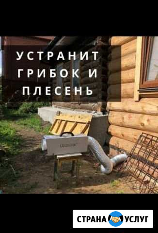 Озонирование и сухой туман Улан-Удэ - изображение 1