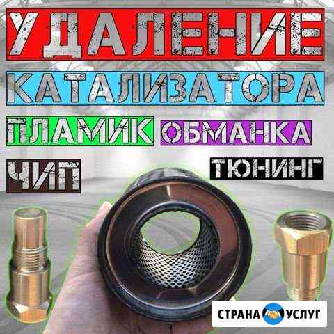 Удалить катализатор, сажевый фильтр, чип-тюнинг Сургут