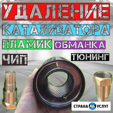 Удалить катализатор, сажевый фильтр, чип-тюнинг Сургут - изображение 1