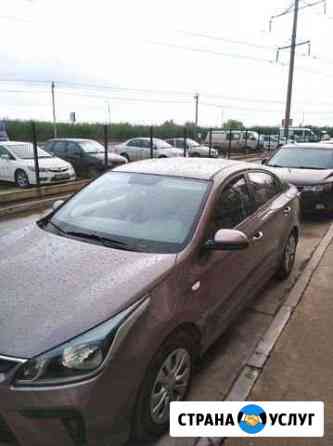 Аренда новый KIA RIO Краснодар