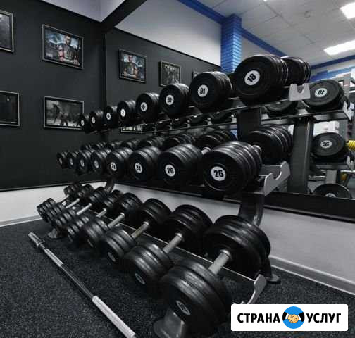 Абонемент в спорт зал с бассейном Ярославль - изображение 1