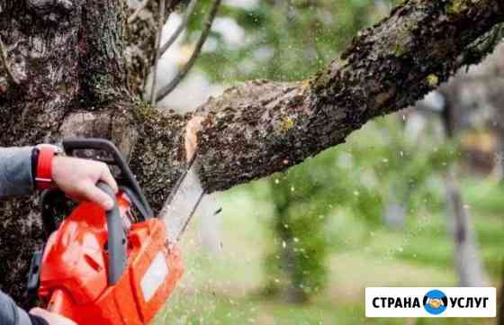 Спил деревьев Ставрополь