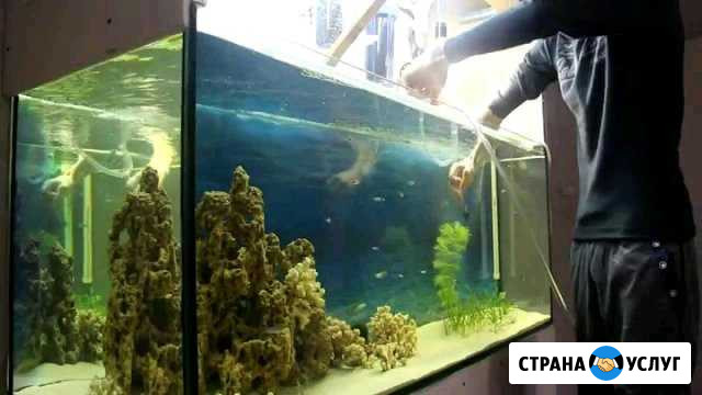 Аквариум. Обслуживание. Уход. Чистка. Запуск Ростов-на-Дону - изображение 1