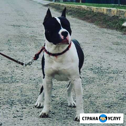 Вязка Пятигорск - изображение 1