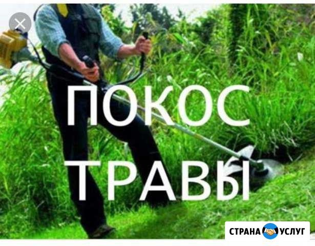 Покос травы, бурьяна. Спил деревьев Железногорск - изображение 1