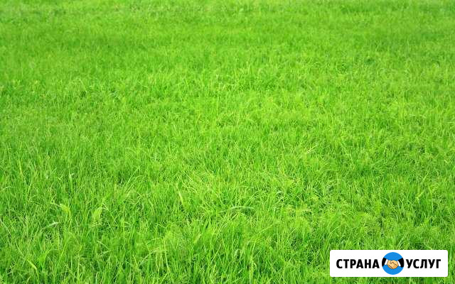 Скошу траву Томск - изображение 1
