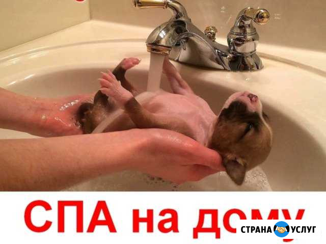 Спа салон Стерлитамак - изображение 1