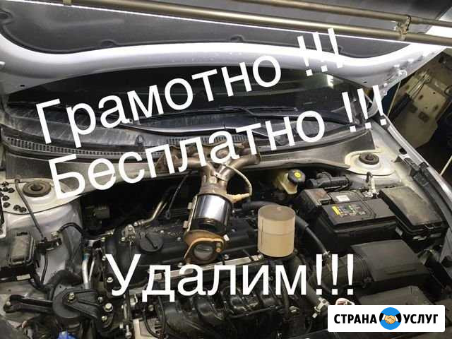 Удаление катализатора. Установка пламегасителей Екатеринбург - изображение 1
