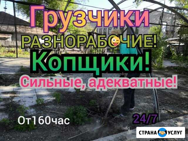 Копщики и грузчики Барнаул - изображение 1