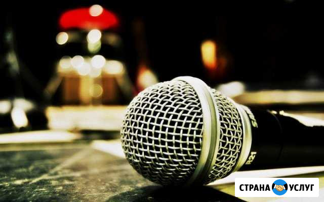 Ведущая и диджей (Курск и область) Курск - изображение 1