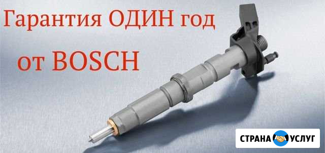 Ремонт форсунок и тнвд Петрозаводск - изображение 1