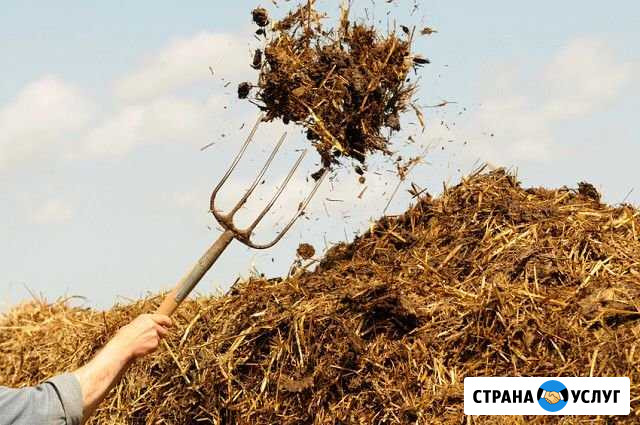 Навоз,Перегной,Земля,Торф Тверь - изображение 1