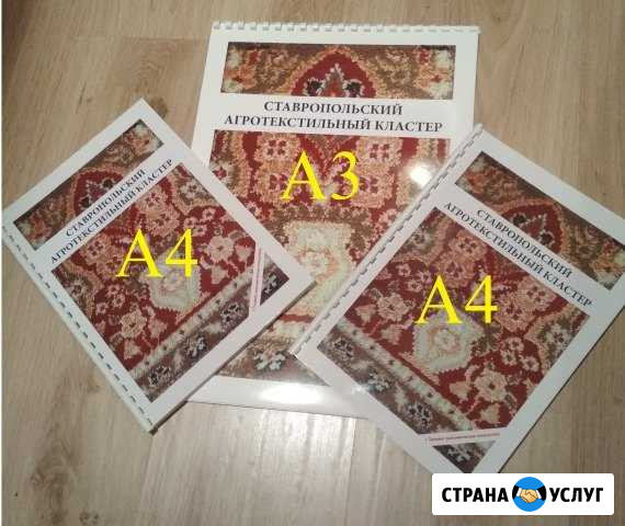Цветная и ч/б печать лучшая до формата А1 цена Ставрополь - изображение 1