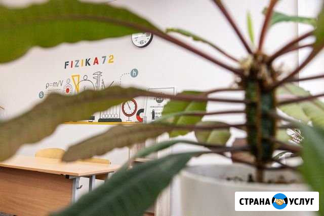 Преподаватель по физике Тюмень - изображение 1