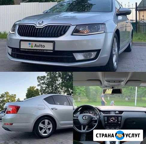 Аренда авто Калининград Калининград - изображение 1