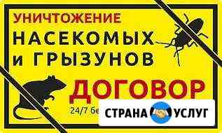Санитарная обработка от клопов,тараканов,крыс Санкт-Петербург