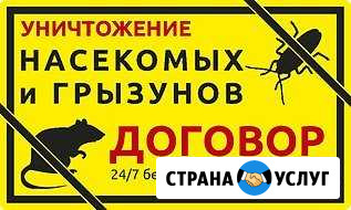 Санитарная обработка от клопов,тараканов,крыс Санкт-Петербург - изображение 1