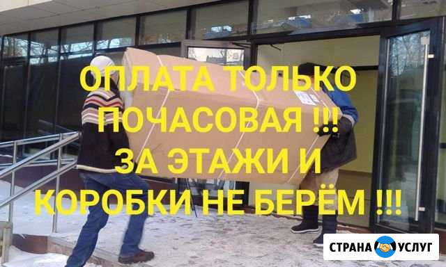 Грузчики Грузоперевозки Переезды Газель Воронеж - изображение 1