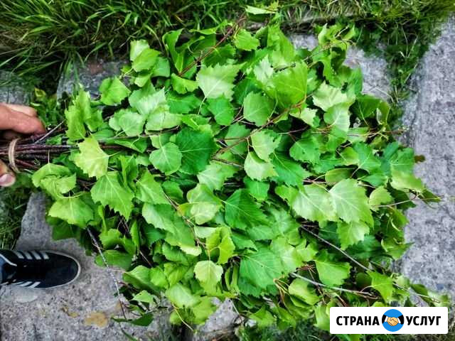 Веники берёзовые, дубовые и пихтовые Златоуст - изображение 1