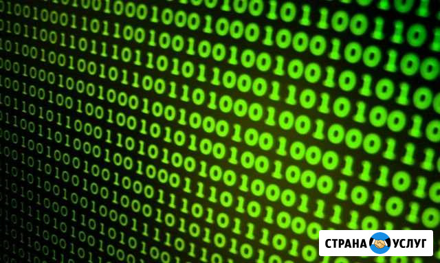 Компьютерная помощь и консолей Осинники - изображение 1