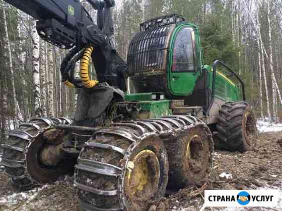 Предоставляем услуги по заготовке леса Пожва