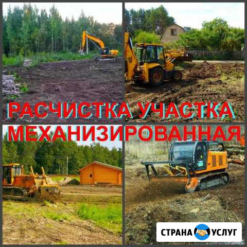 Механизированная расчистка участков, спил деревьев Тамбов - изображение 1