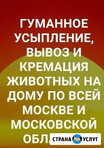 Усыпление животных Химки - изображение 1
