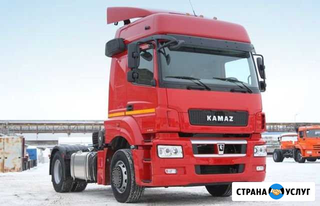 Отключение мочевины грузовых автомобилей Сургут - изображение 1