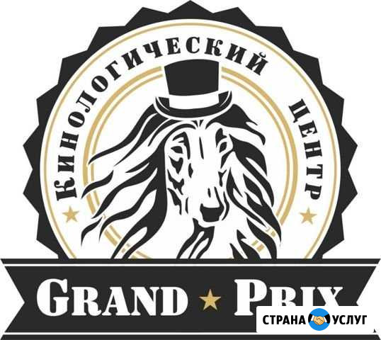 Кинологический Центр (Дрессировка, Груминг) Брянск - изображение 1