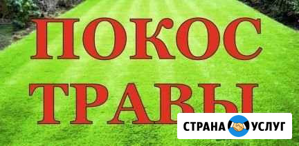 Скошу траву триммером Сорочинск - изображение 1