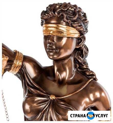 Услуги юриста Тамбов - изображение 1