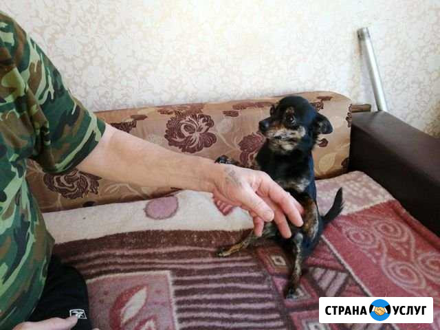 Вязка Курган - изображение 1