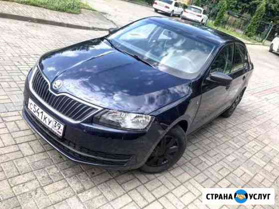 Аренда/ прокат Skoda Rapid 2016 газ Калининград