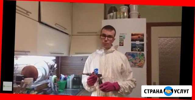 Дезинсекция.Тараканов клопов уничтожение.Навсегда Ярославль - изображение 1