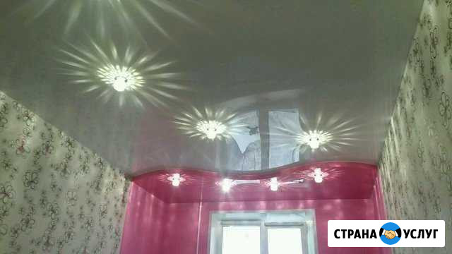 Натяжные потолки Кошки - изображение 1