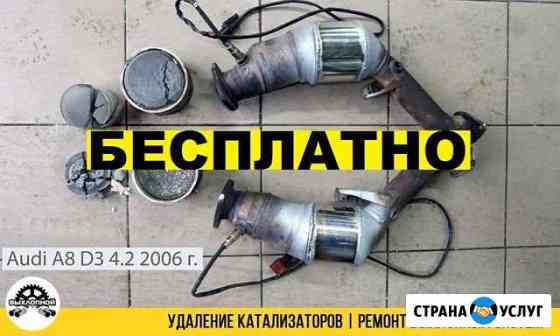 Бесплатное удаление катализатора+обманка Липецк