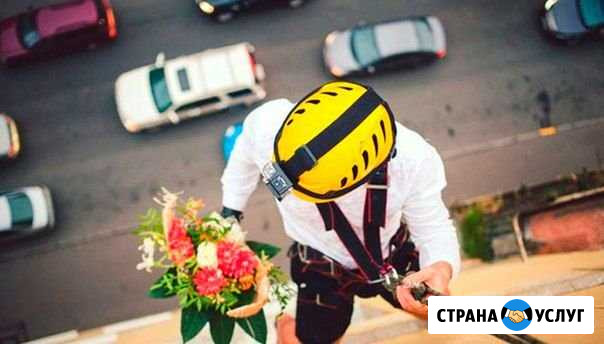 Цветы в окно Энгельс - изображение 1