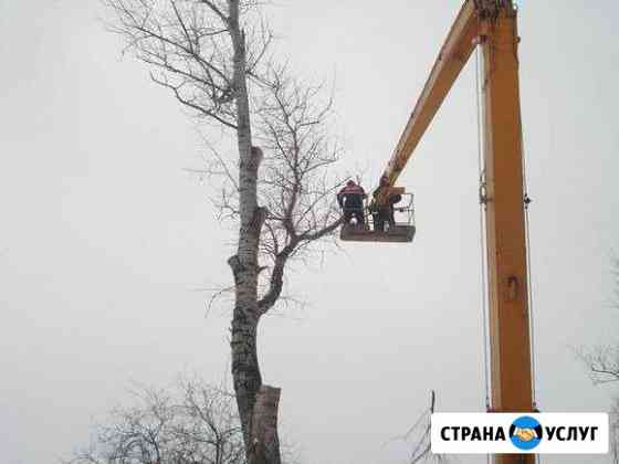 Валка деревьев.Обрезка деревьев. Кронирование Махнево