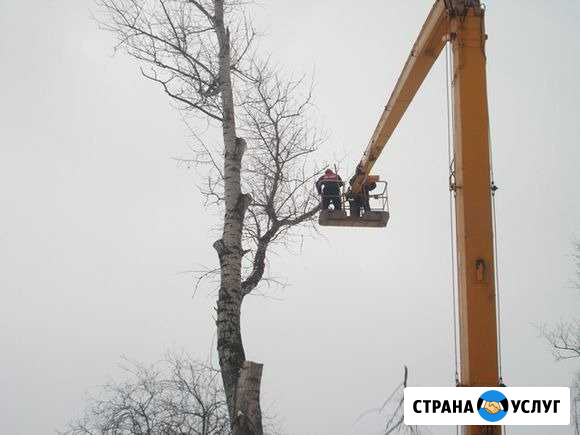 Валка деревьев.Обрезка деревьев. Кронирование Махнево - изображение 1