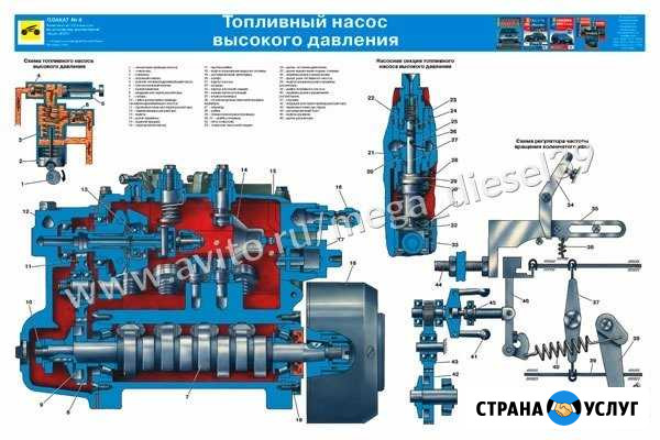 Проверка тнвд дизель с гарантией Калининград - изображение 1