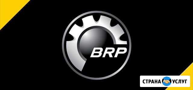Выездная Диагностика BRP Архангельск - изображение 1